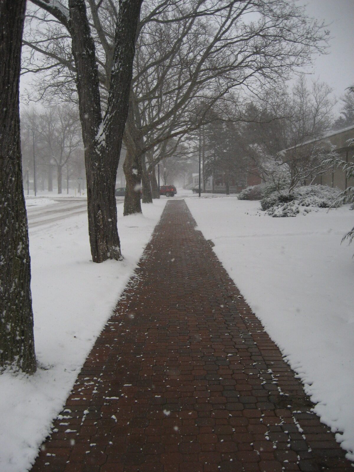 Holland Home Of The Heated Sidewalks