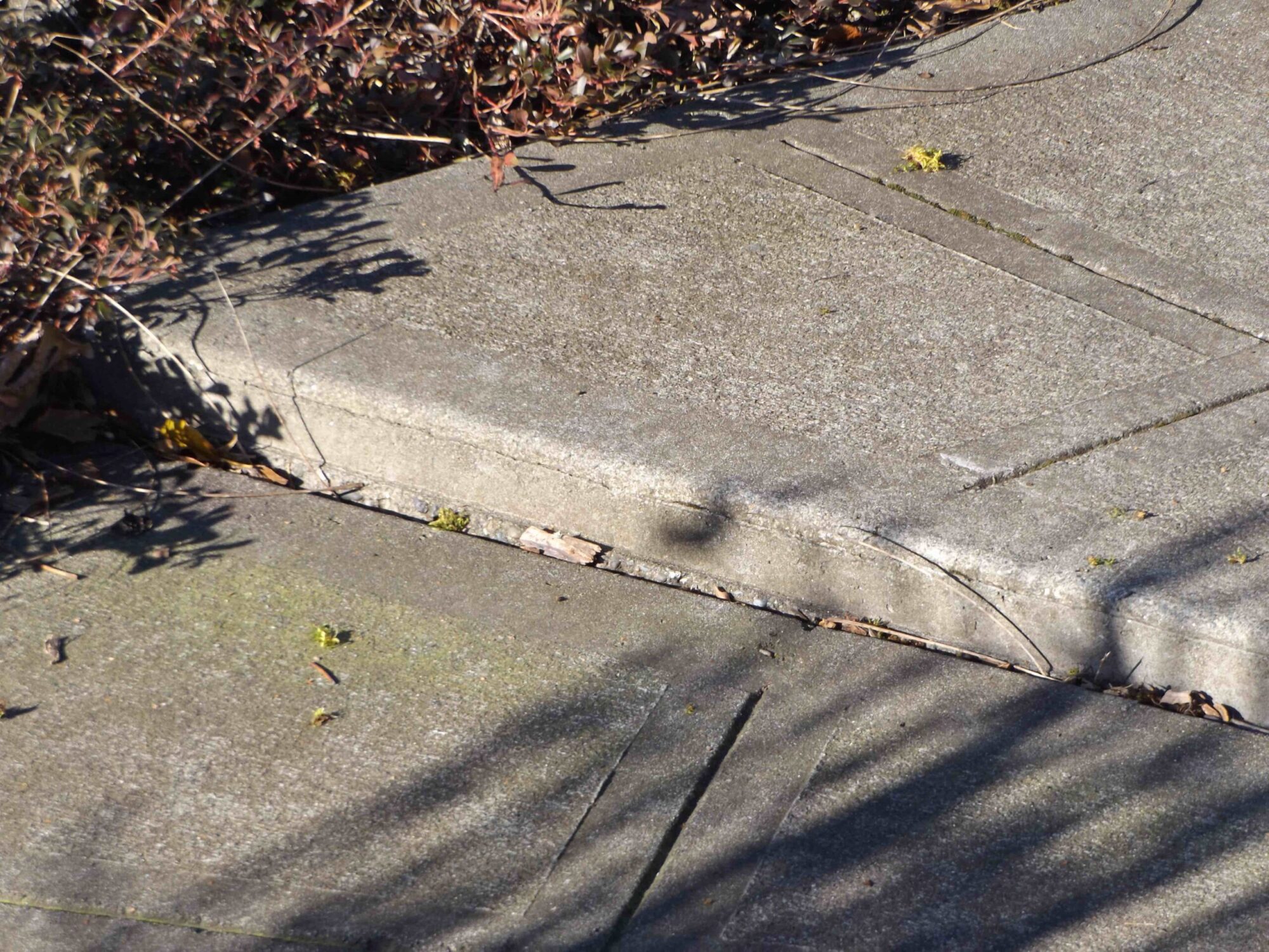 Sidewalk8