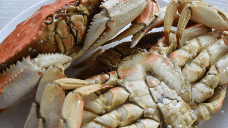 Why ou Should Buy More Crab: Dramatic Drop in Dungeness Crab Price Threatens Livelihoods of Crab Fishers