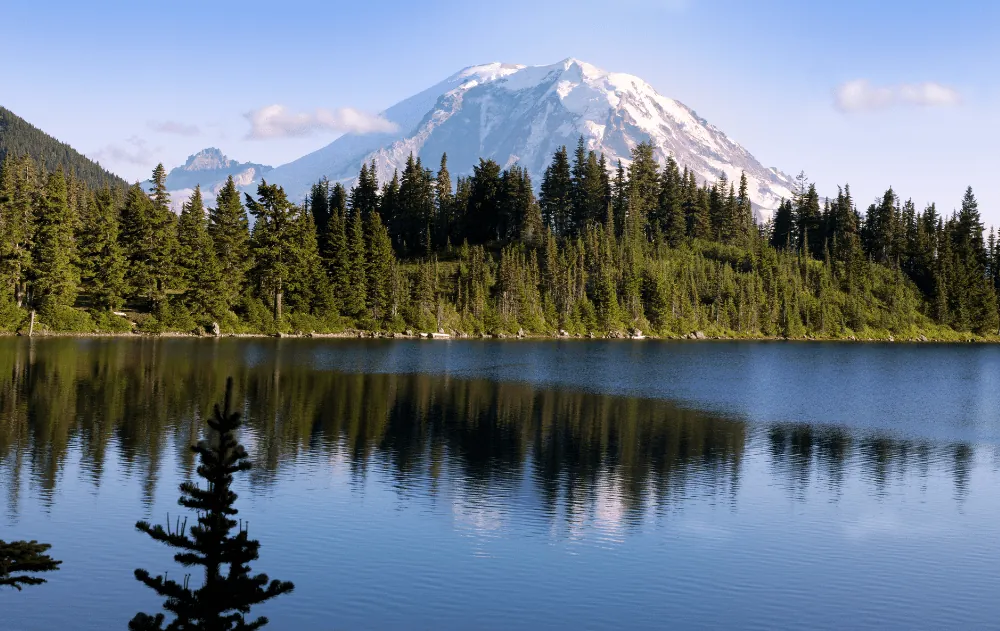Your Rights If Injured On Washington's Open Lands