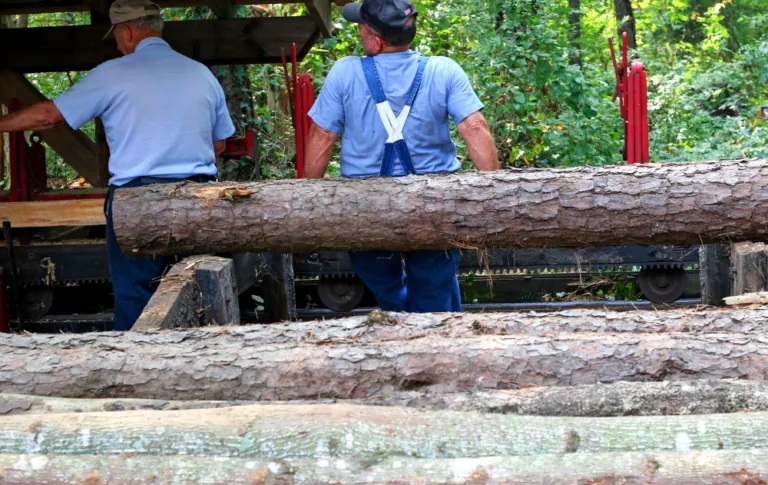 Understanding Your Rights If Injured On Washington's Open Lands (11)
