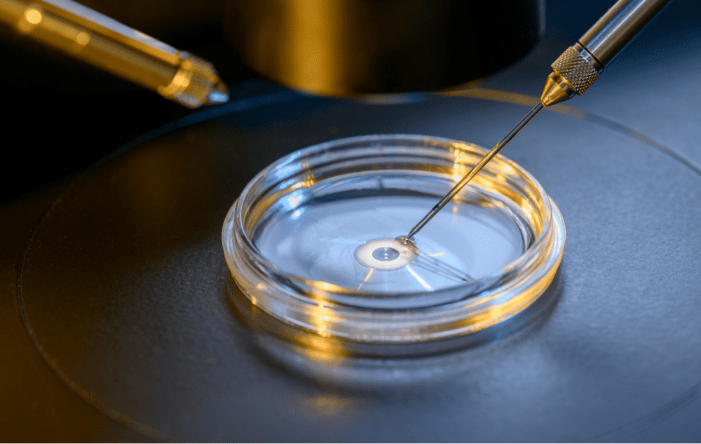 Protection Against Assisted Reproduction Fraud