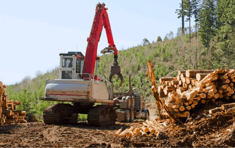 Understanding Your Rights If Injured On Washington's Open Lands (4)